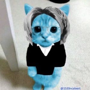 Meet your Posher, Rustin